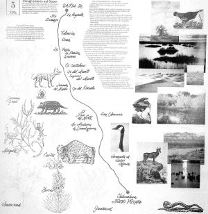 El Bosque: Ancient Trade Routes Along the Rio Grande