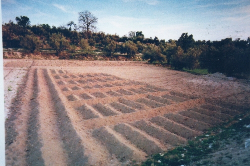 Waffle gardens are known as eras in Spanish. Waffle gardens are sunken gardens that store moisture in times of drought.